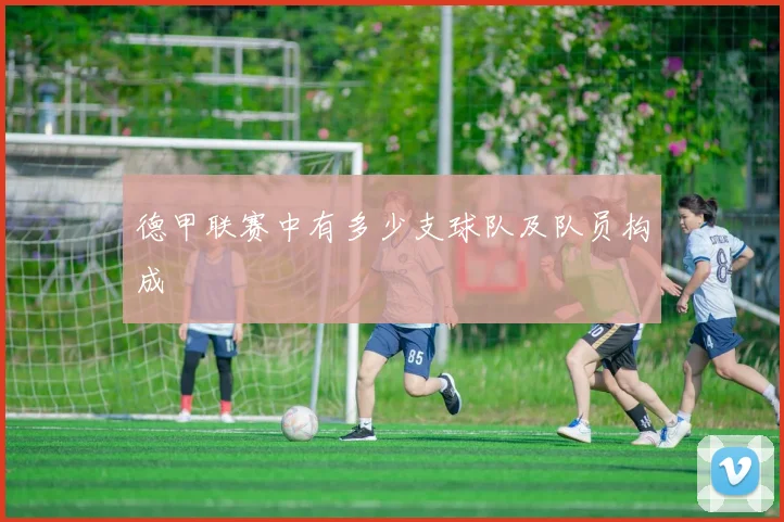 德甲联赛中有多少支球队及队员构成