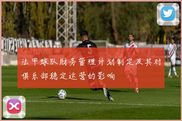 法甲球队财务管理计划制定及其对俱乐部稳定运营的影响