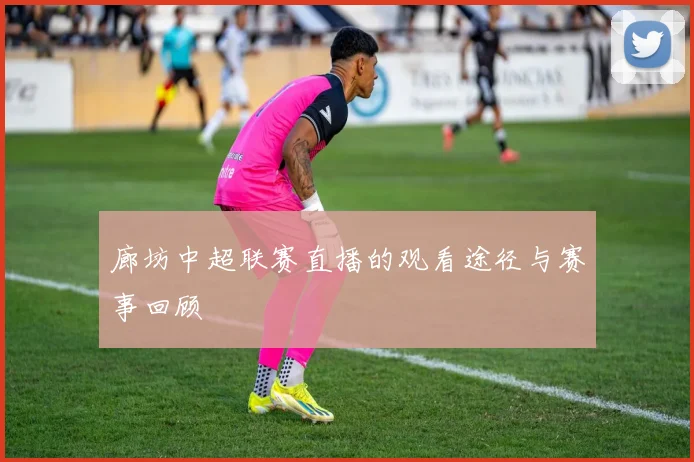 廊坊中超联赛直播的观看途径与赛事回顾