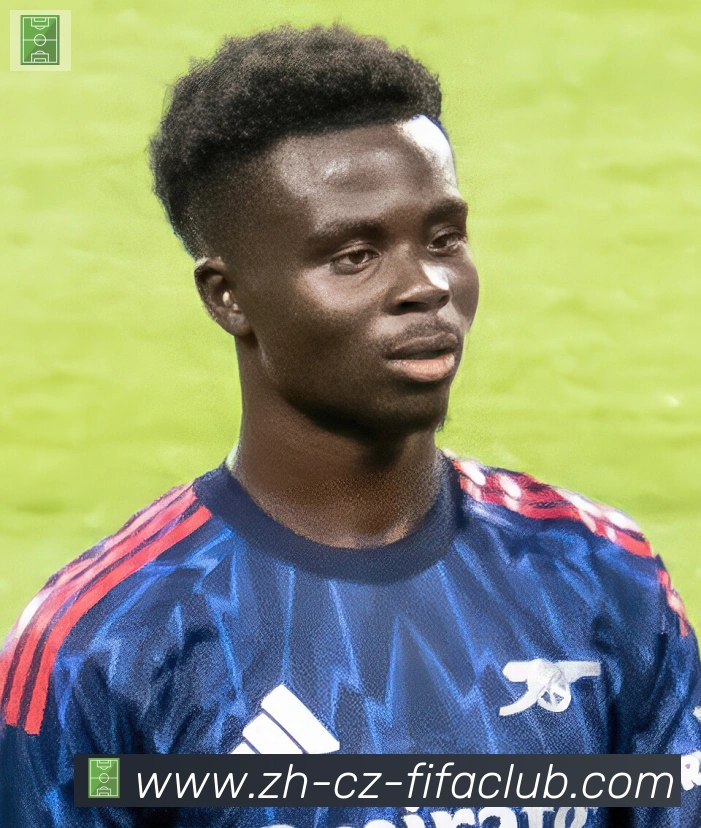维尼修斯
